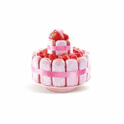 Le Biscuit Rose de Reims étui 100g