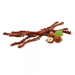 Sarments chocolat lait noisette