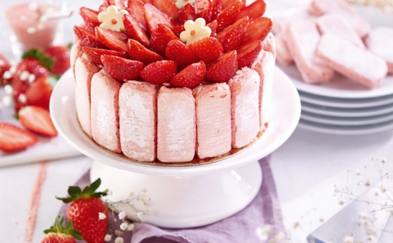 Charlotte Biscuit Rose vanille et fraise