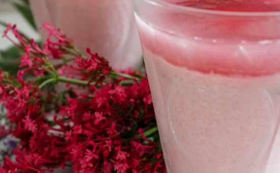 Panna cotta aux Biscuits Roses de Reims